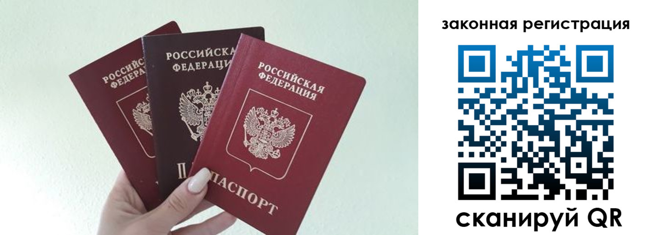 прописка 2025 в Белой Холунице